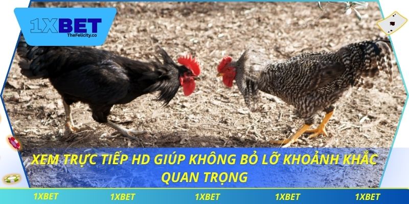 Xem trực tiếp HD giúp không bỏ lỡ khoảnh khắc quan trọng